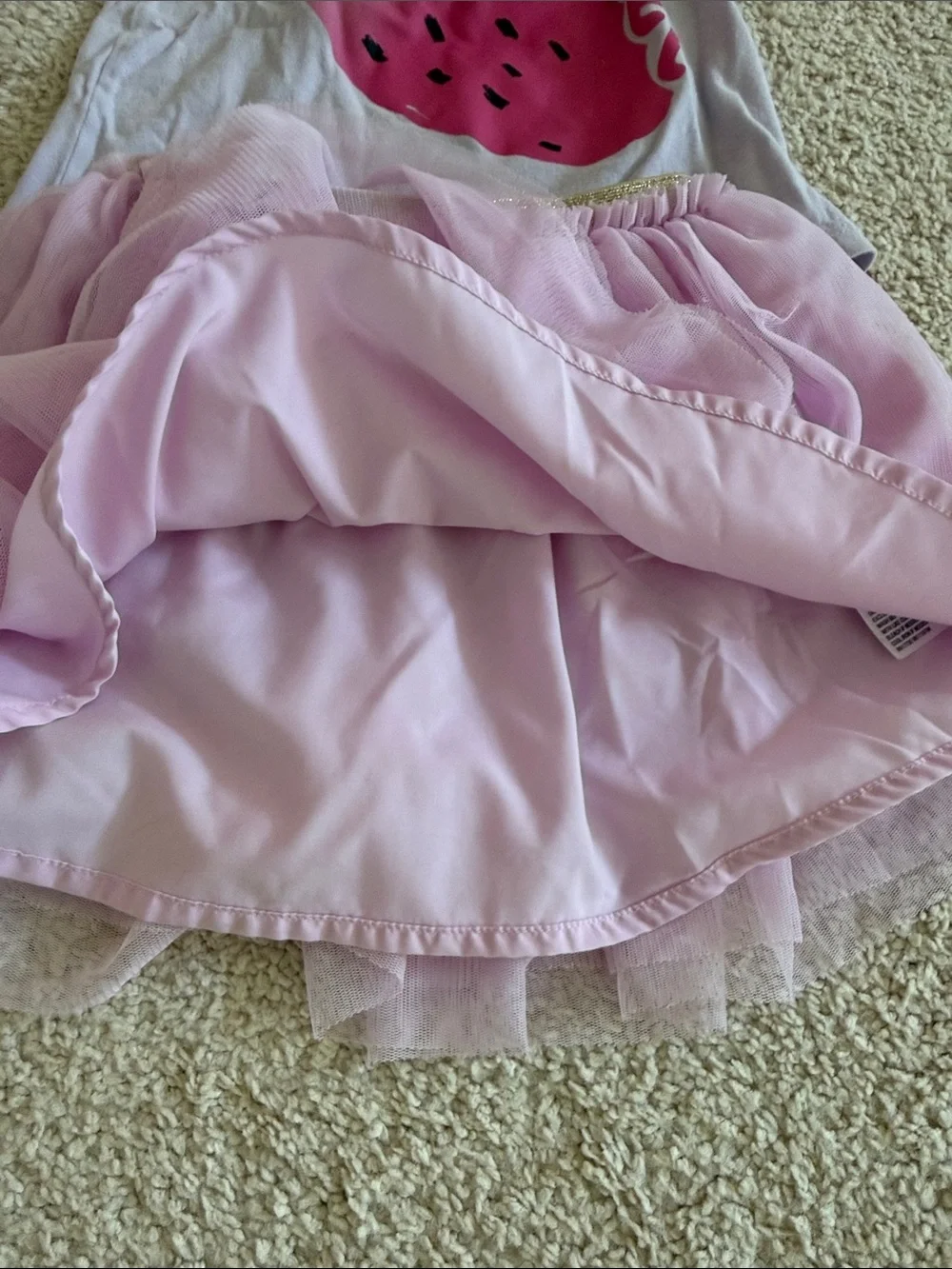 GAP Pink Strawberry Tee and Light Pink Tulle Skirt Set